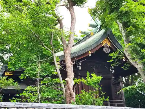 荒井神社の本殿・本堂
