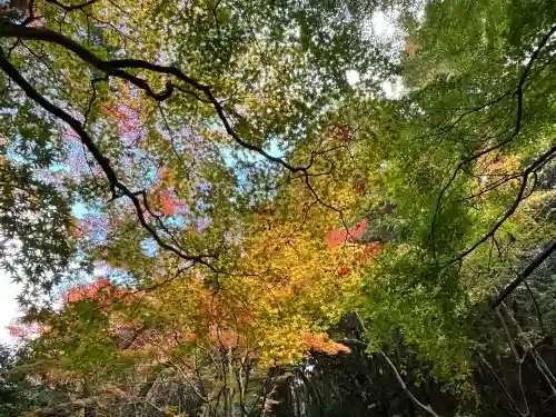神峯山寺(大阪府)