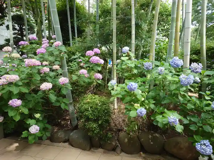 鈴鹿明神社(神奈川県)