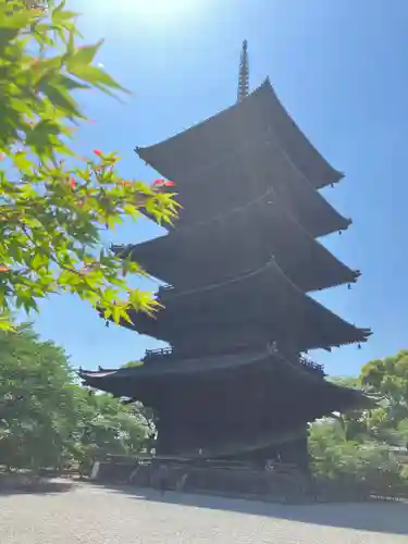 東寺（教王護国寺）(京都府)
