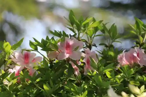 開成山大神宮の庭園