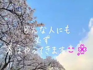 白狐山光星寺(山形県)(2023年04月11日(火) 17時33分39秒投稿)