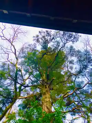 鷲宮神社(茨城県)