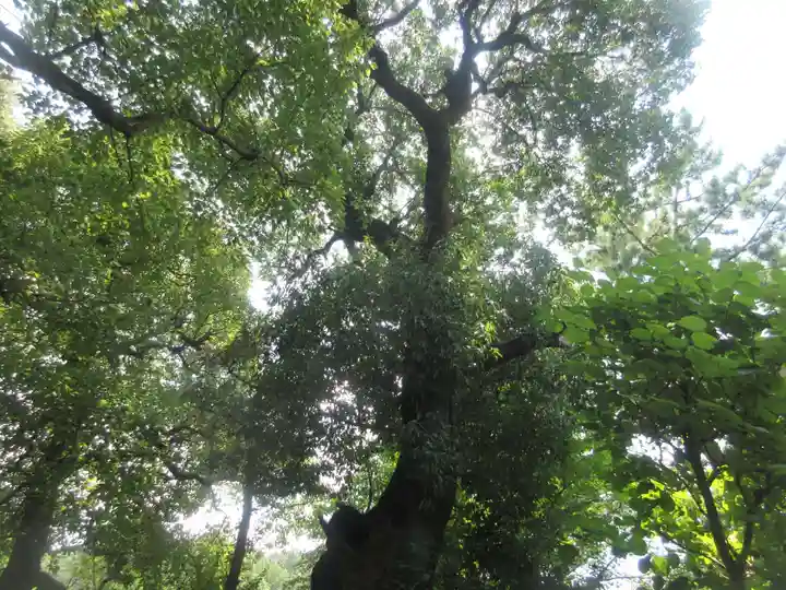 昌光律寺(愛知県)