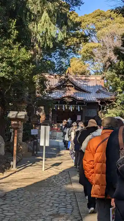 代々木八幡宮の本殿・本堂