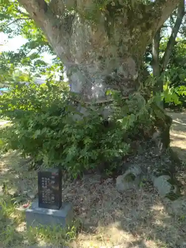 熊野神社(福島県)