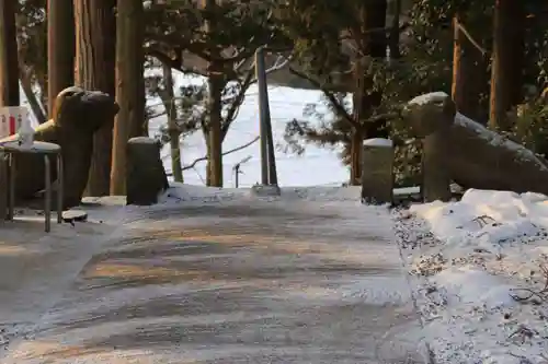 阿久津「田村神社」（郡山市阿久津町）旧社名：伊豆箱根三嶋三社の狛犬