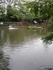 越ヶ谷久伊豆神社の庭園