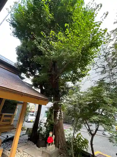 五十稲荷神社(栄寿稲荷神社)の自然