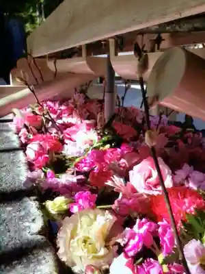 鳩森八幡神社(東京都)