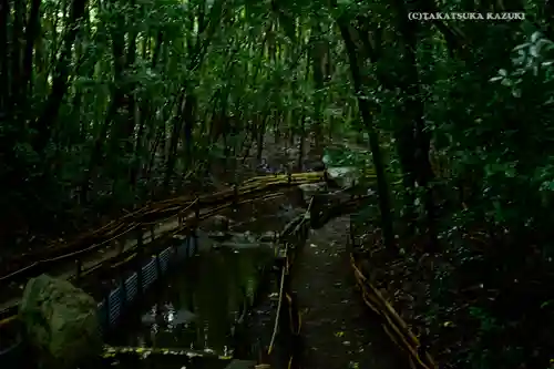 出雲大社相模分祠の周辺