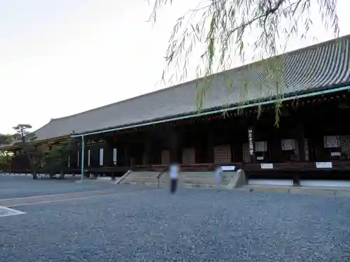 蓮華王院（三十三間堂）の本殿・本堂