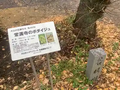 常満寺の庭園