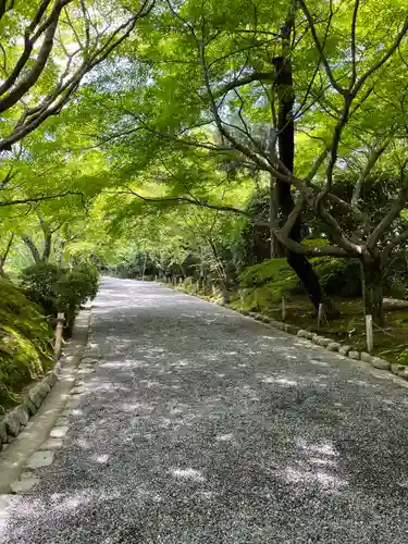 龍安寺(京都府)
