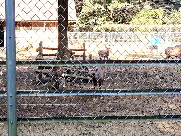 鹿島神宮(茨城県)