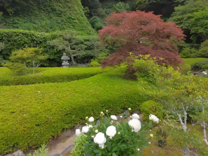 長壽寺(長寿寺)(神奈川県)