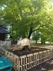 象山神社の庭園