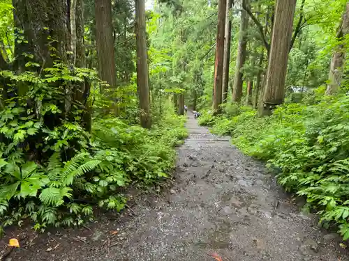 戸隠神社奥社(長野県)