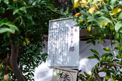 元祇園梛神社・隼神社(京都府)