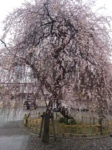 宗仲寺(神奈川県)