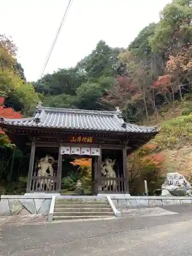 仙遊寺の山門