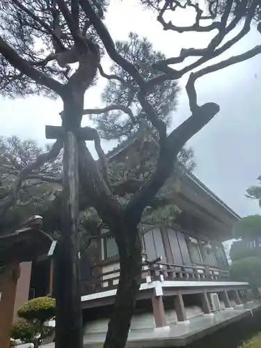 金剛院のその他建物