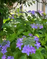 松本山 地福禅寺(滋賀県)