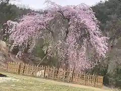 明王寺(岡山県)