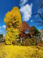 櫻岡大神宮の自然