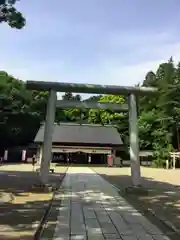 常磐神社の鳥居