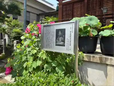 常念寺(愛知県)
