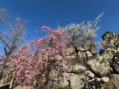 鎭國守國神社(三重県)