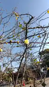 比佐豆知神社(三重県)(2026年01月17日(土) 09時10分08秒投稿)