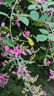 梨木神社(京都府)
