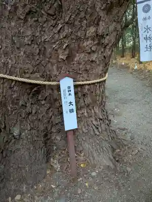 白鬚神社の{uncategorized: "未分類", other: "その他", undefined: "問題あり", building: "その他建物", grave: "お墓", sacred_gate: "鳥居", guardian: "狛犬", statue: "像", buddha: "仏像", history: "歴史", nature: "自然", garden: "庭園", animal: "動物", pagoda: "塔", temizu: "手水舎", mountain_gate: "山門・神門", sanctuary: "本殿・本堂", subordinate: "末社・摂社", art: "芸術", scenery: "景色", jizo: "地蔵", ema: "絵馬", goshuin: "御朱印", omikuji: "おみくじ", items: "授与品その他", amulet: "お守り", goshuincho: "御朱印帳", eats: "食事", festival: "お祭り", votive_dance: "神楽", shichigosan: "七五三参", wedding: "結婚式", experience: "体験その他", initially: "初詣", around: "周辺", anti_infection: "感染症対策"}