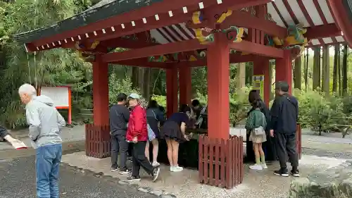 霧島神宮(鹿児島県)