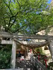 十番稲荷神社の鳥居