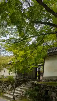 二尊院(京都府)