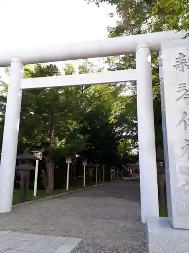 新琴似神社の鳥居