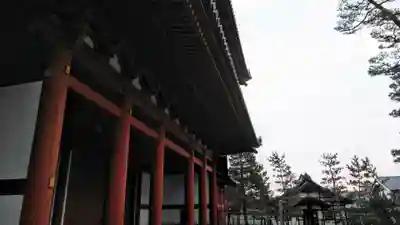 妙心寺（妙心禅寺）の本殿・本堂