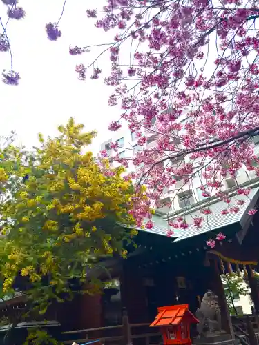 蔵前神社の{uncategorized: "未分類", other: "その他", undefined: "問題あり", building: "その他建物", grave: "お墓", sacred_gate: "鳥居", guardian: "狛犬", statue: "像", buddha: "仏像", history: "歴史", nature: "自然", garden: "庭園", animal: "動物", pagoda: "塔", temizu: "手水舎", mountain_gate: "山門・神門", sanctuary: "本殿・本堂", subordinate: "末社・摂社", art: "芸術", scenery: "景色", jizo: "地蔵", ema: "絵馬", goshuin: "御朱印", omikuji: "おみくじ", items: "授与品その他", amulet: "お守り", goshuincho: "御朱印帳", eats: "食事", festival: "お祭り", votive_dance: "神楽", shichigosan: "七五三参", wedding: "結婚式", experience: "体験その他", initially: "初詣", around: "周辺", anti_infection: "感染症対策"}