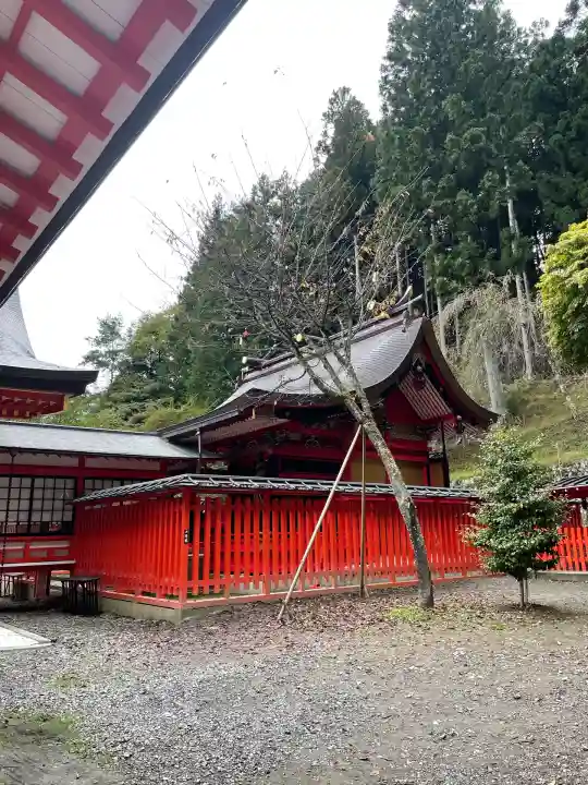 金櫻神社(山梨県)