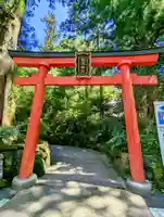 箱根神社の鳥居