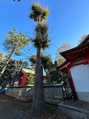 小野神社(東京都)