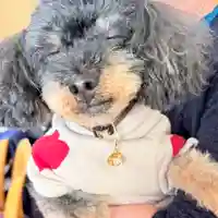 諏訪神社(宮城県)