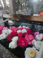 玉村八幡宮の手水舎