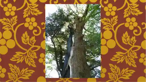 常陸國總社宮(茨城県)