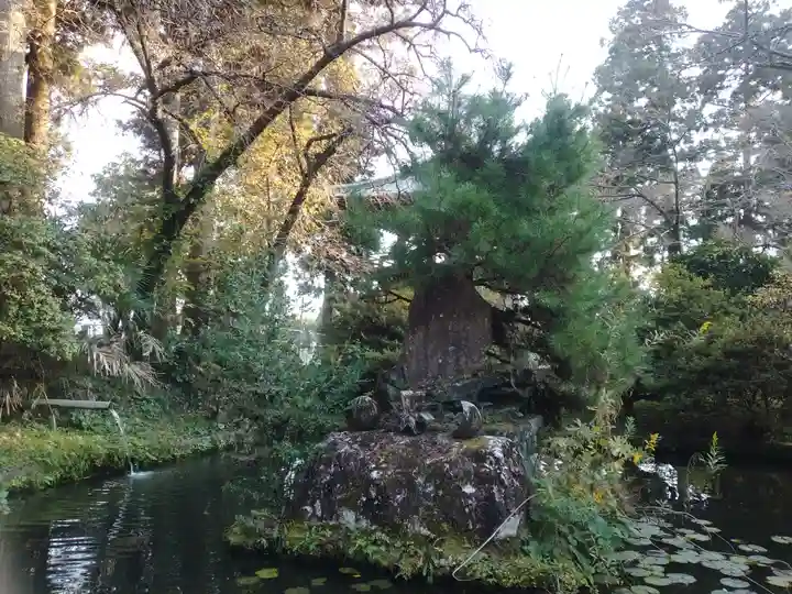 富士山法華本門寺根源(静岡県)