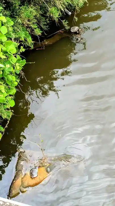 七百餘所神社 の周辺