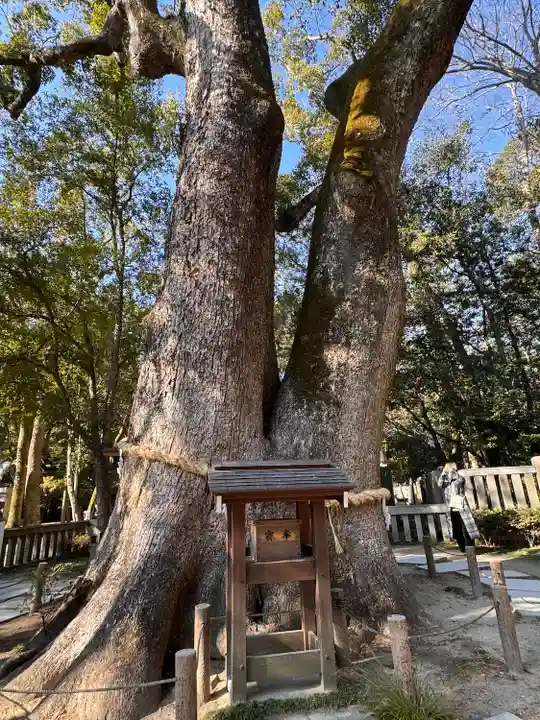 伊弉諾神宮(兵庫県)